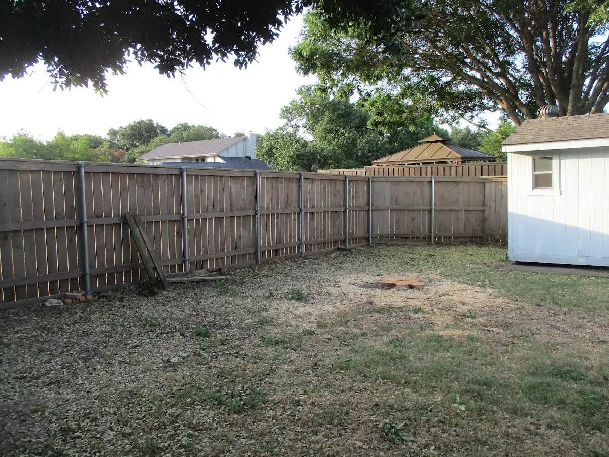 Cleared yard after professional tree removal in New Stuyahok